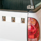 Creëer je eigen petfoto bumpersticker (Op Truck)