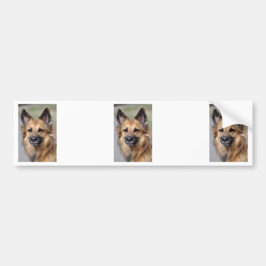 Creëer je eigen petfoto bumpersticker (Voorkant)