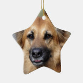 Creëer je eigen petfoto keramisch ornament (Rechts)