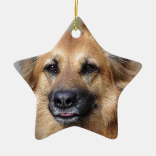 Creëer je eigen petfoto keramisch ornament (Voorkant)