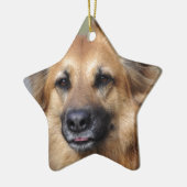 Creëer je eigen petfoto keramisch ornament (Links)