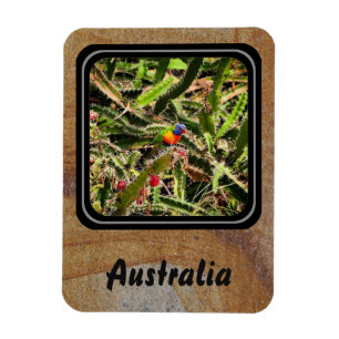 Creëer je eigen reisfotomagneet magneet