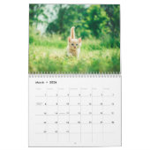 Creëer Je eigen Schattigee Funny Cat Pet Foto Kalender (Mar 2026)