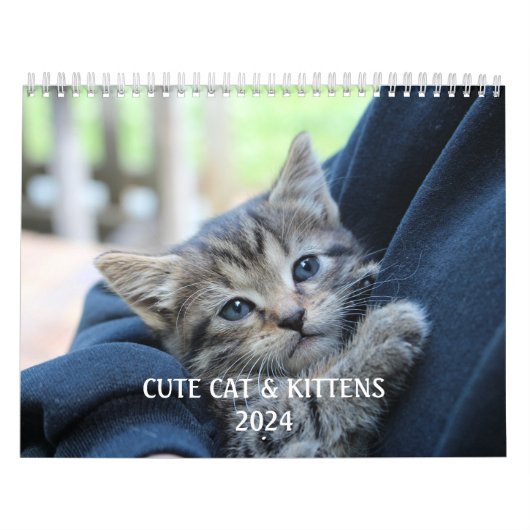 Creëer Je eigen Schattigee Funny Cat Pet Foto Kalender (Hoes)