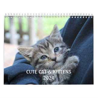 Creëer Je eigen Schattigee Funny Cat Pet Foto Kalender