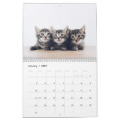 Creëer Je eigen Schattigee Funny Cat Pet Foto Kalender (Jan 2027)