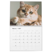 Creëer Je eigen Schattigee Funny Cat Pet Foto Kalender (Feb 2027)