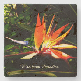 Creëer Je eigen Stone Onderzetter - Vogel van het 