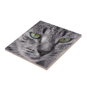 Creëer je eigen vierkant tegels - een kat met een tegeltje