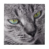 Creëer je eigen vierkante tegel - Tabby Cat Tegeltje (Voorkant)