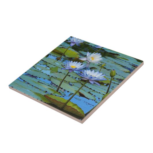Creëer je eigen vierkante tegel - waterlelies tegeltje (Zijkant)