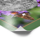 Creëer je eigen vlinder op Aster Flower Lijst Foto Afdruk (Hoek)