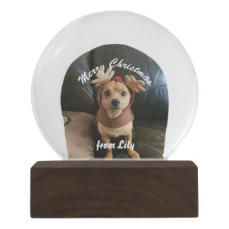 Creëer je eigen wereldbol voor prettige kerstsneeu sneeuwbol