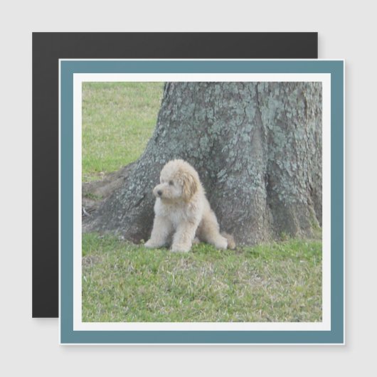 Creëer Square Photo Template Turquoise Cute Magnet (Voorkant / Achterkant)