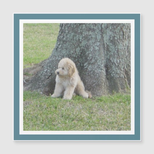 Creëer Square Photo Template Turquoise Cute Magnet (Voorkant)