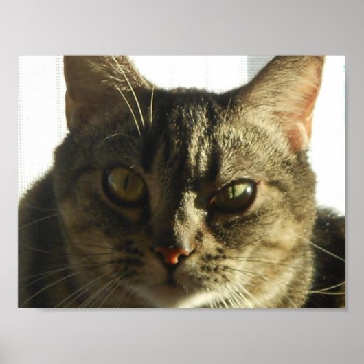 Creëer Uw eigen 11-inch x 8,5-inch Poster (Voorkant)