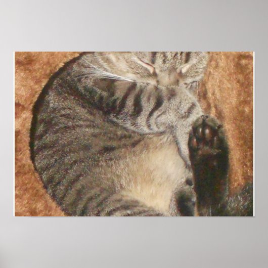 Creëer Uw eigen 19-inch x 13-inch Poster (Voorkant)