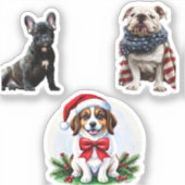 Creëer Uw eigen 3 Aangepast fotocollage Sticker (Voorkant)