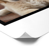 Creëer uw eigen 4 op foto's toegesneden hondencoll poster (Hoek)