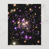 Creëer Uw eigen Aangepast Flyer (Achterkant)