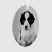 Creëer Uw eigen aangepaste foto en jaar Ornament (voorkant)