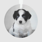 Creëer Uw eigen aangepaste foto en jaar Ornament (achterkant)