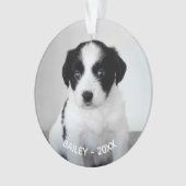 Creëer Uw eigen aangepaste foto en jaar Ornament (voorkant)