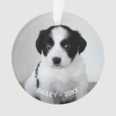 Creëer Uw eigen aangepaste foto en jaar Ornament (voorkant)