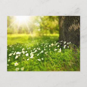 Creëer Uw eigen aangepaste foto op maat Briefkaart