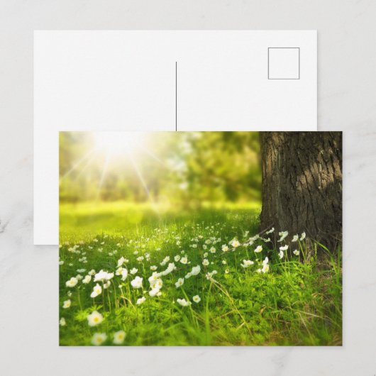 Creëer Uw eigen aangepaste foto op maat Briefkaart (Voorkant / Achterkant)