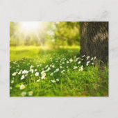 Creëer Uw eigen aangepaste foto op maat Briefkaart (Voorkant)