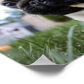 Creëer Uw eigen aangepaste foto Poster (Hoek)