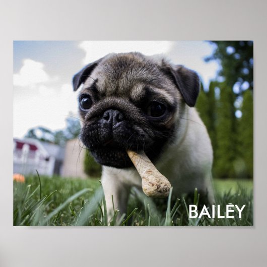 Creëer Uw eigen aangepaste foto Poster (Voorkant)