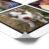 Creëer uw eigen aangepaste fotocollage met tekstco poster (Hoek)