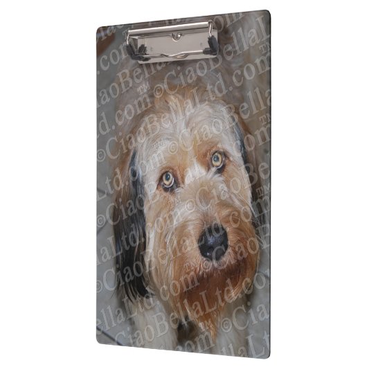 Creëer Uw eigen aangepaste fotoklembord Klembord (Links)