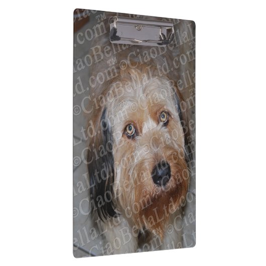 Creëer Uw eigen aangepaste fotoklembord Klembord (Rechts)