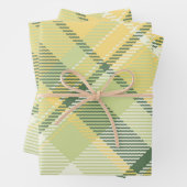 Creëer uw eigen aangepaste merkvisgraat inpakpapier vel (In situ)