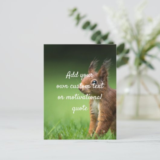 Creëer uw eigen aangepaste offerte - eekhoorn briefkaart (Staand voorkant)