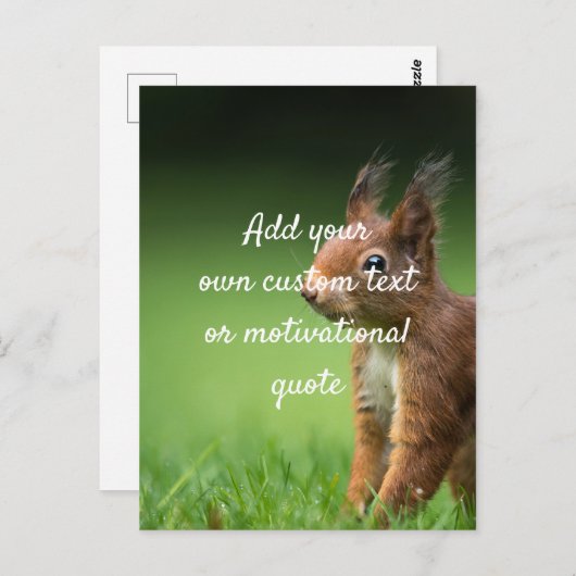 Creëer uw eigen aangepaste offerte - eekhoorn briefkaart (Voorkant / Achterkant)