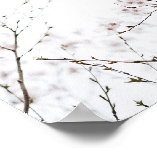 Creëer uw eigen aangepaste offerte - witte bloemen poster (Hoek)