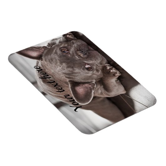 Creëer Uw eigen aangepaste Pet Dog-koelkast Magneet (Rechterzijde)