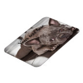 Creëer Uw eigen aangepaste Pet Dog-koelkast Magneet (Linkerzijde)