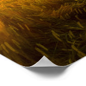 Creëer Uw eigen aangepaste prijsopgave/Poster teks Poster (Hoek)