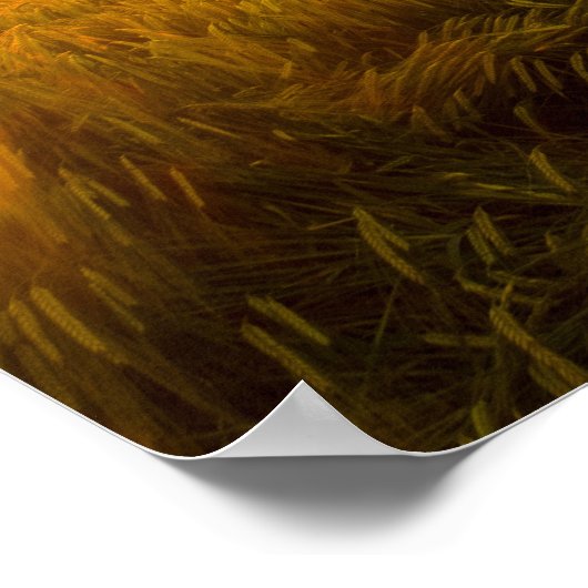 Creëer Uw eigen aangepaste prijsopgave/Poster teks Poster (Hoek)