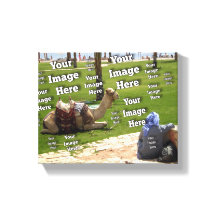 🤍 Creëer uw eigen aangepaste Sjabloon