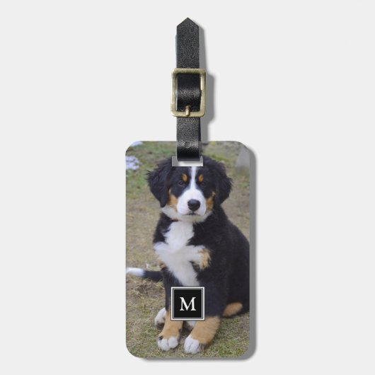 Creëer uw eigen aangepaste volledige fotomonogram bagagelabel (Voorkant verticaal)