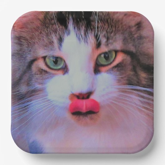 Creëer Uw eigen Afbeelding toevoegen Personalisere Papieren Bordje (Voorkant)