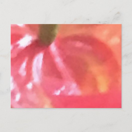 CREËER UW EIGEN BRIEFKAARTEN (Voorkant)