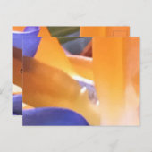 CREËER UW EIGEN BRIEFKAARTEN (Voorkant / Achterkant)