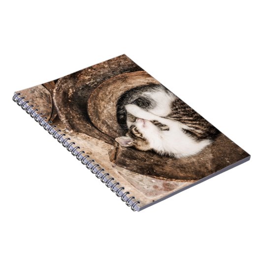 Creëer Uw Eigen - Cat Nap Notitieboek (Rechterzijde)